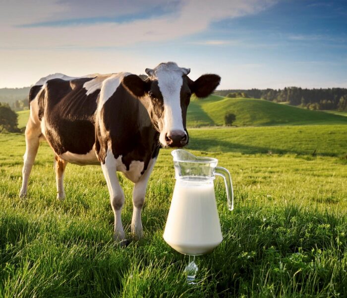 Contact 3 2024: Melk