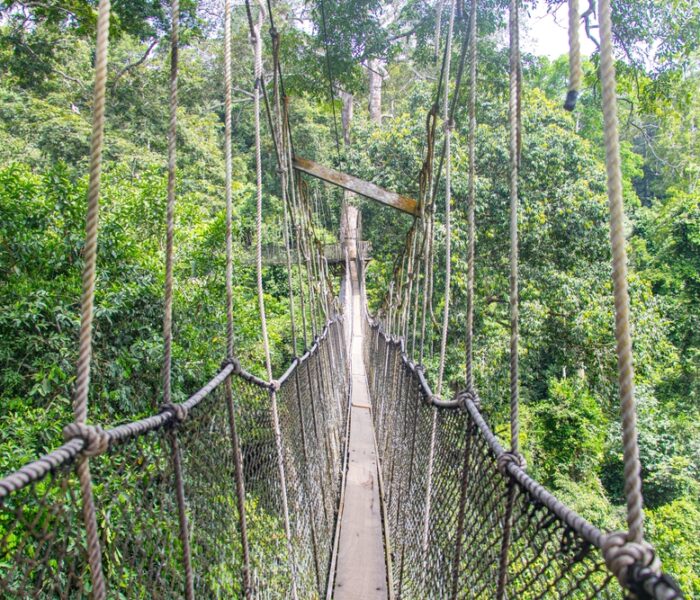 Zendingsreis Ghana